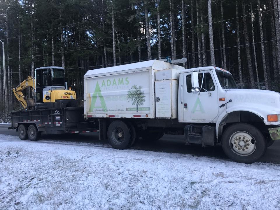 Adams Tree Service | Sooke BC