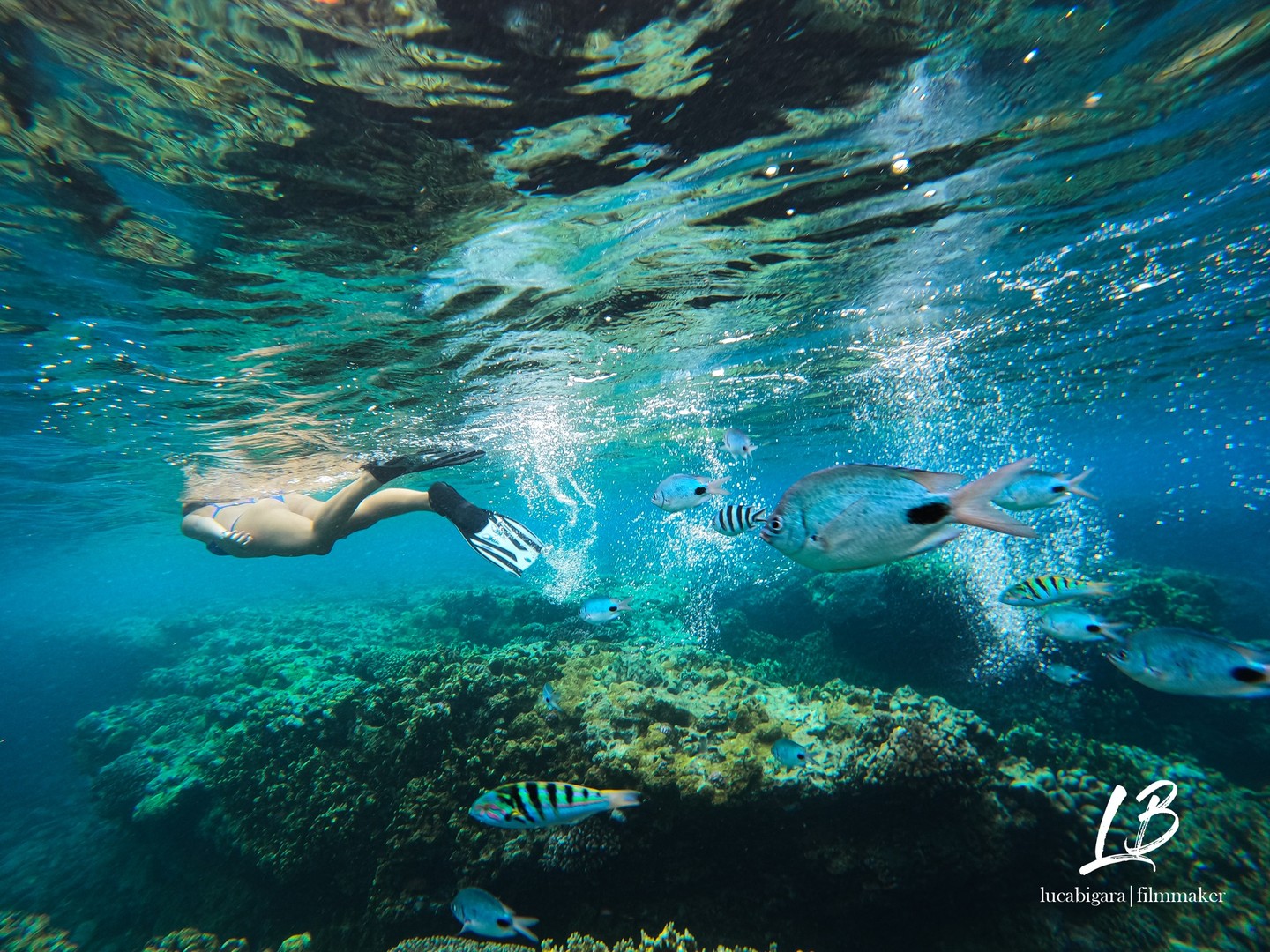 The world's finest wilderness... - JPH Charters - Mauritius