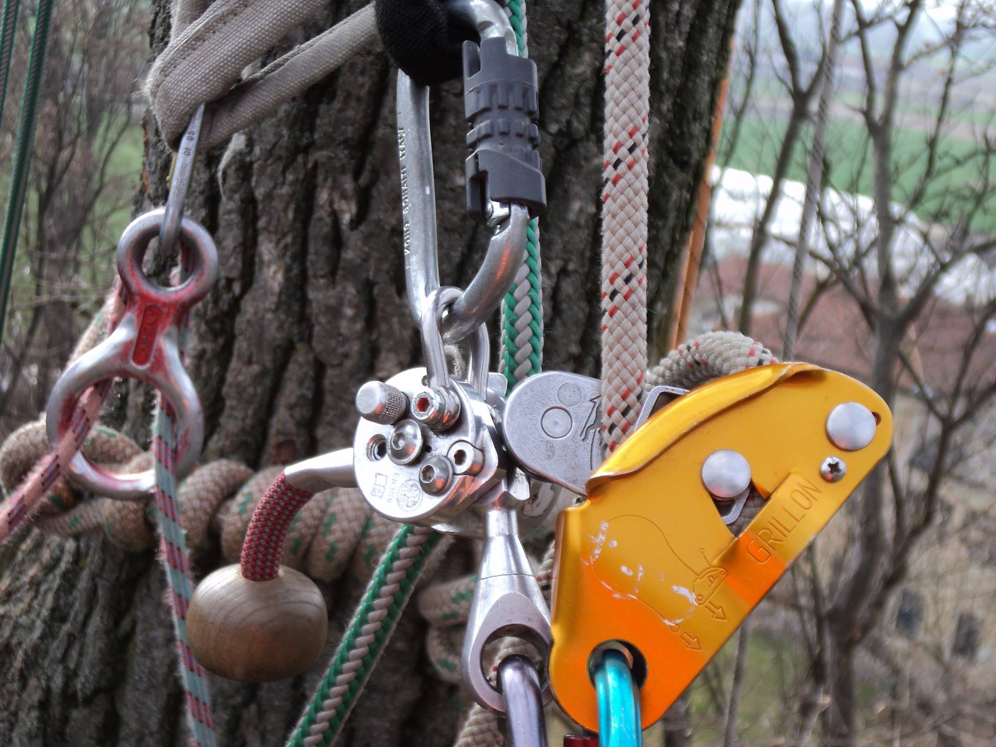 Associazione Tree-Climbing Ivrea - #climbingonorangetree In questi ...