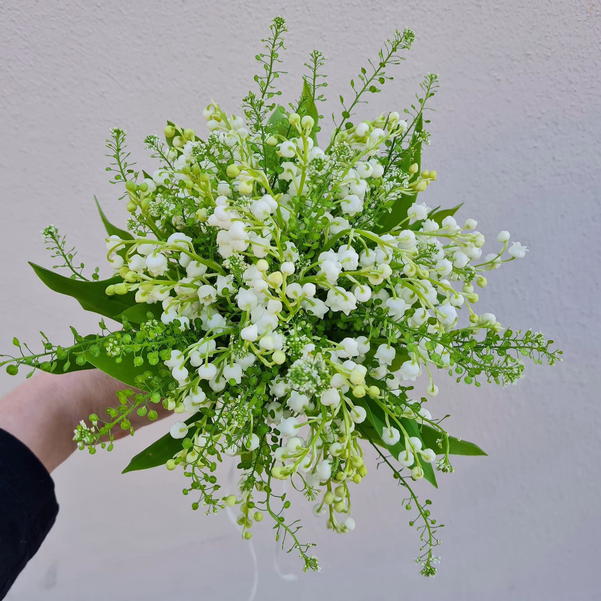 🌿Brautstrauß aus 50 Maiglöckchen🌿