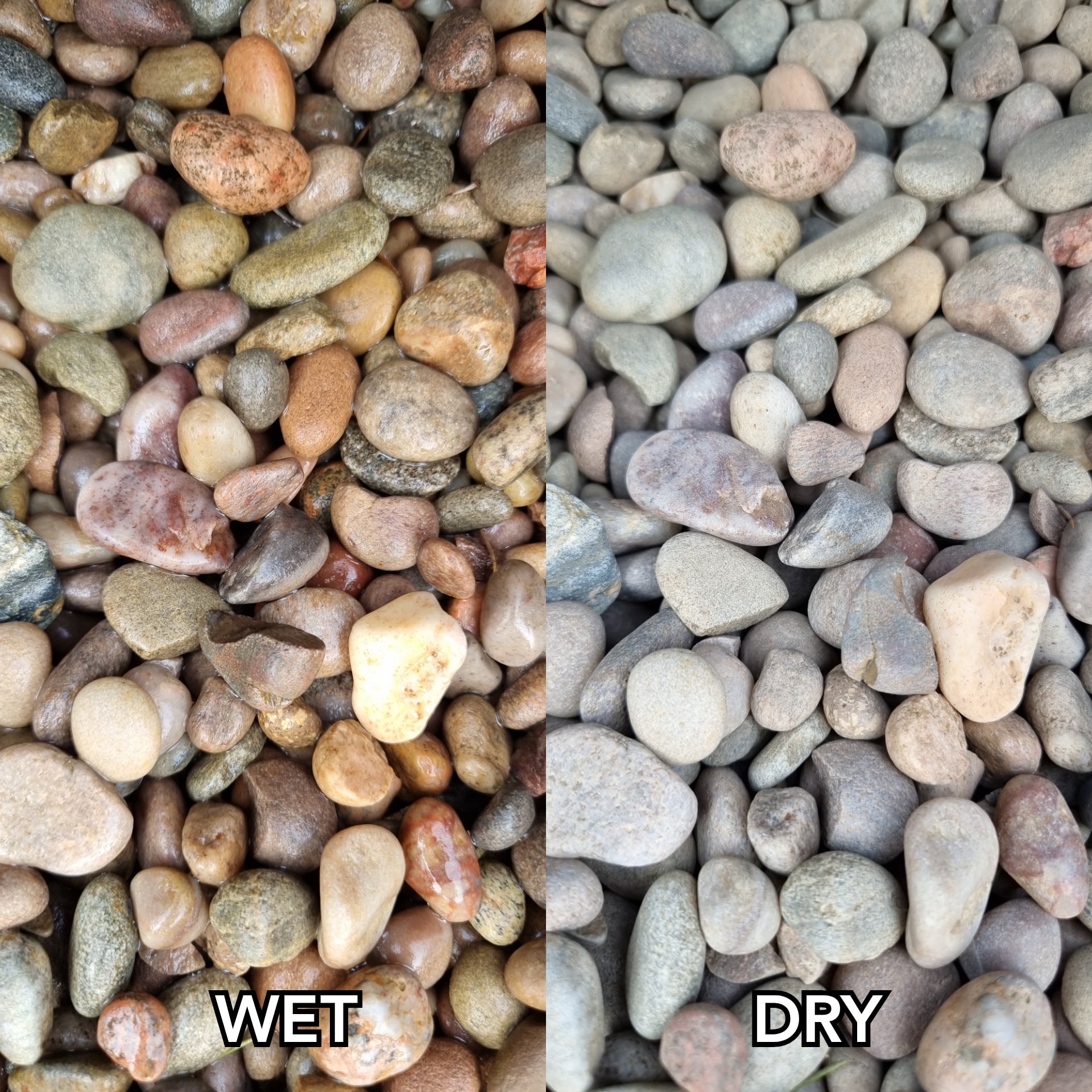 Shire - 🌟🌟14-20mm Scottish Pebbles🌟🌟 Naturally rounded these pebbles ...