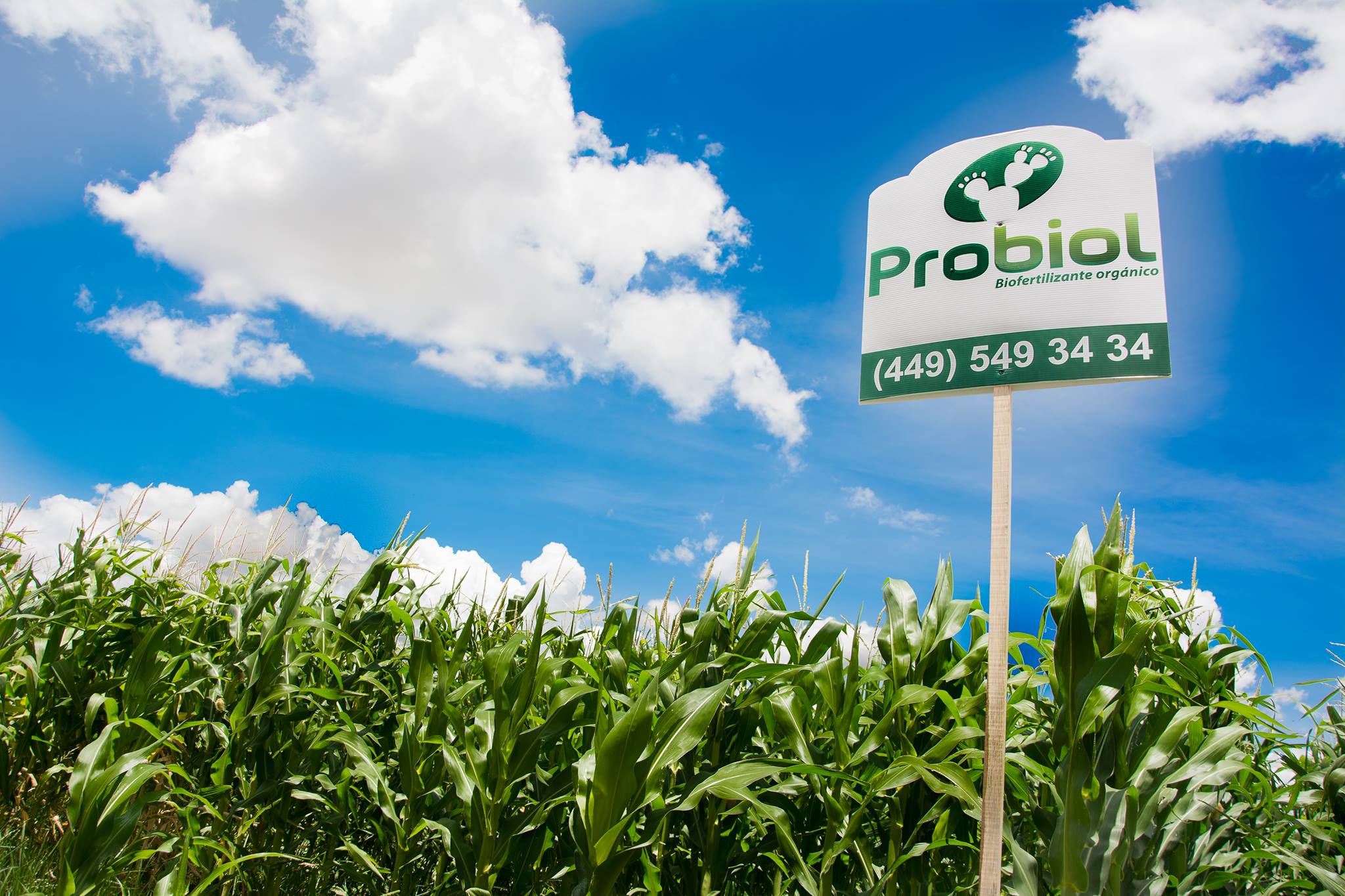 Probiol | Aguascalientes