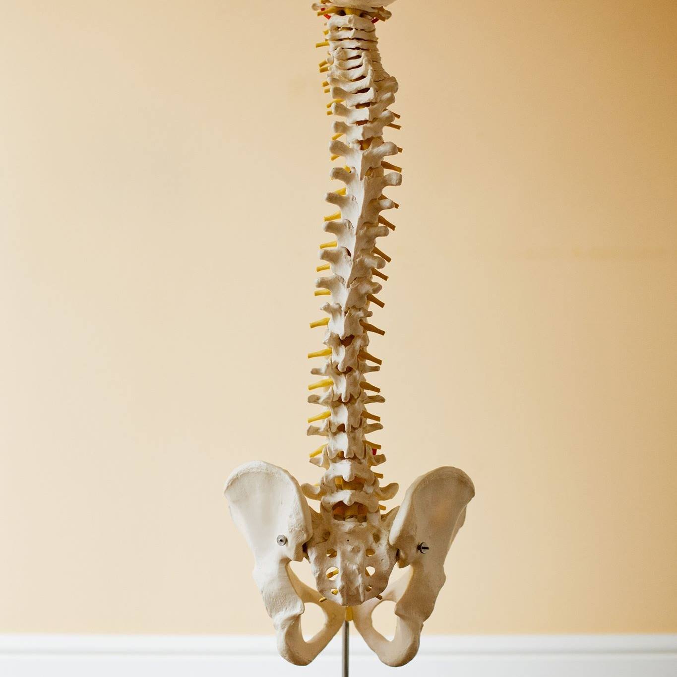 Protect your lower back by learning to move smarter. 👀 Here, Grant ...