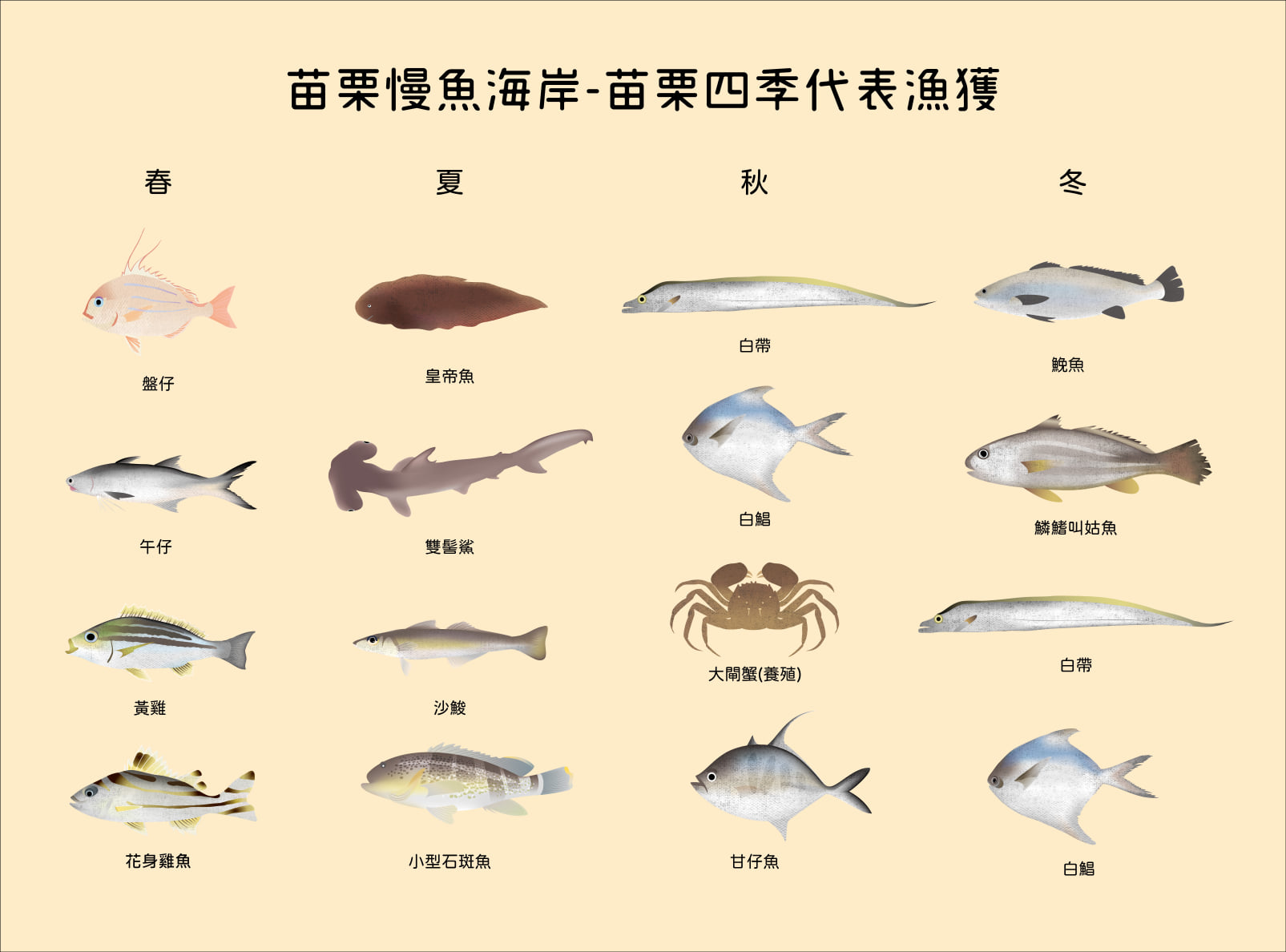 苗栗慢魚海岸 - #苗栗四季的漁種 ！你認識的有哪些？趕快來看看！ 春：盤仔、午仔、黃雞、花身雞魚 夏：皇帝魚、雙髻鯊、沙鮻、小型石斑魚 秋 ...
