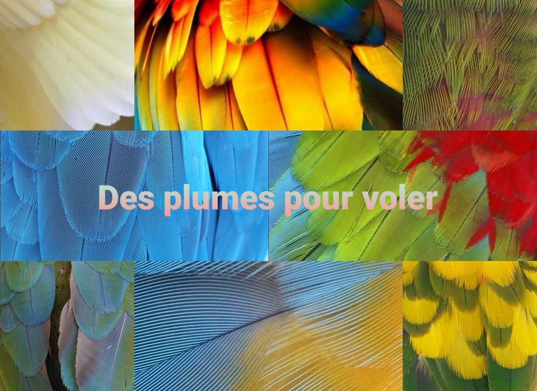 Baker Ross Plumes Couleurs Pastel - Lot de 120, Fournitures Artistiques pour Enfants (AR259
