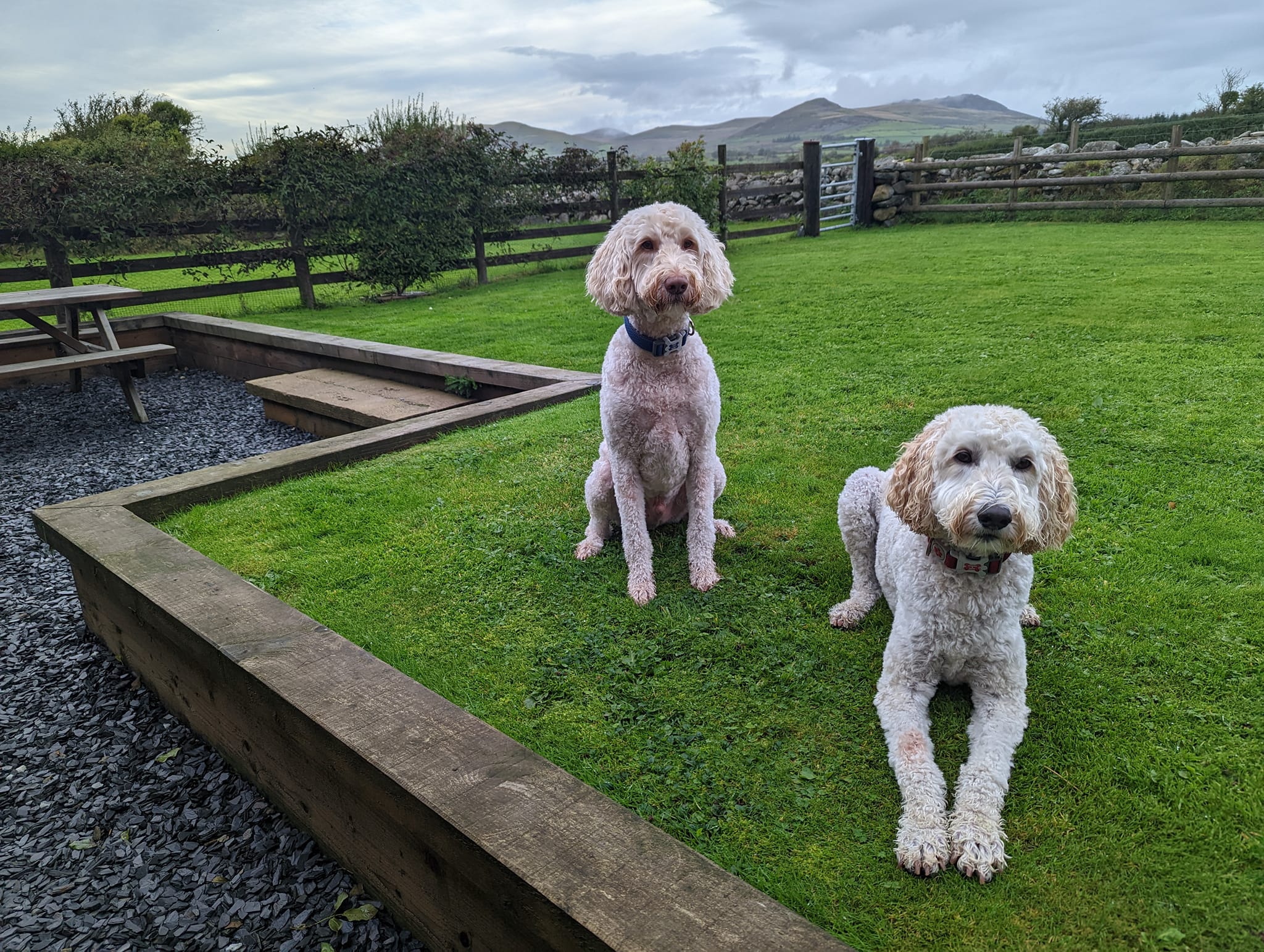Bryn & Ritchie - A lovely start to the holiday in Harlech... | Facebook