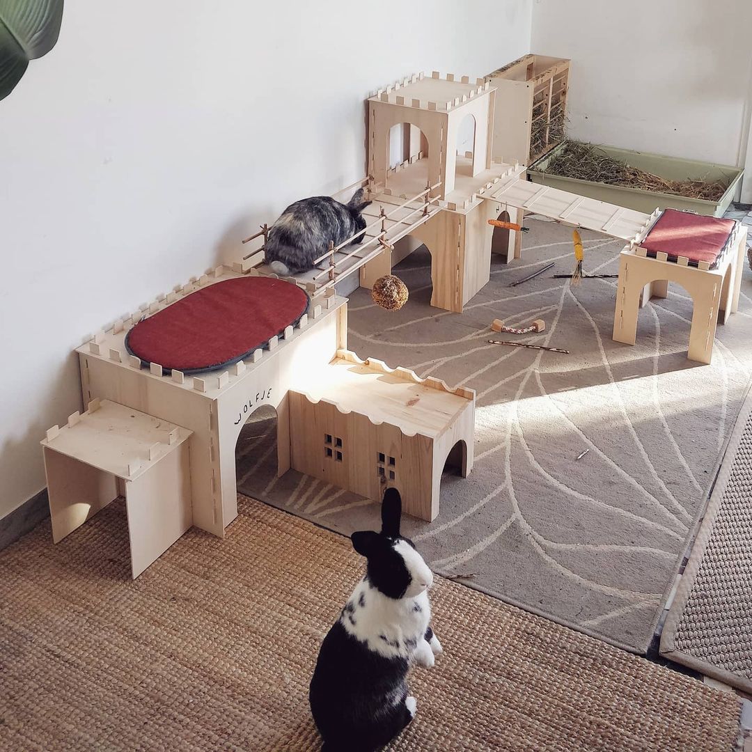 This weeks Happy Bunny Homes feature is... - Happy Bunny Club
