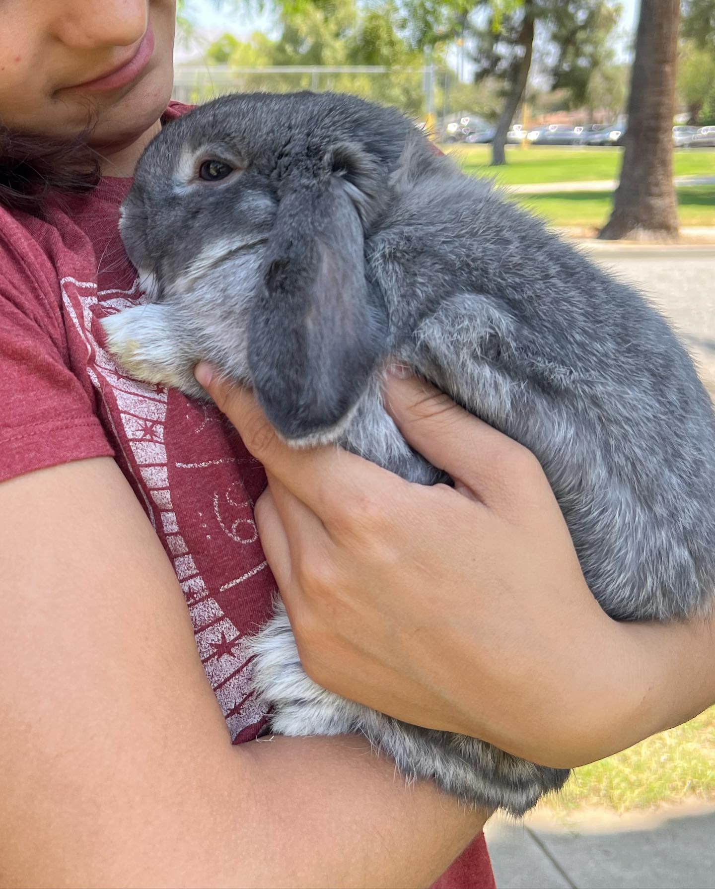 Fields Farms Rabbitry - Home