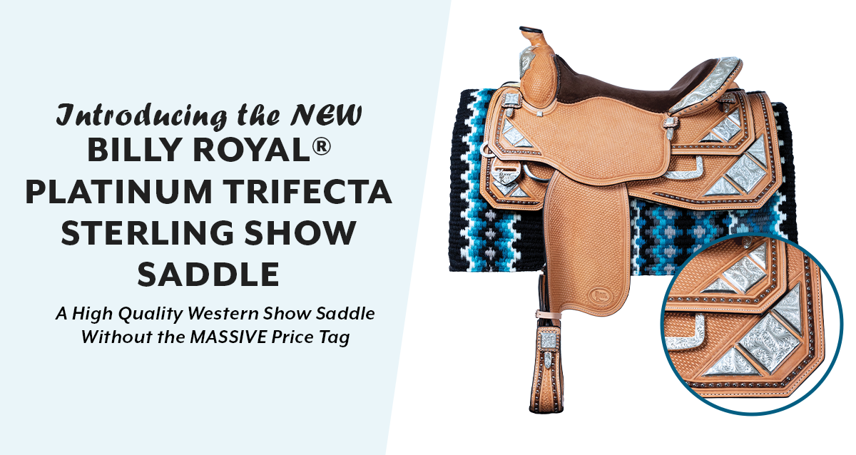 Introducing the New Billy Royal... - Schneider Saddlery | Facebook