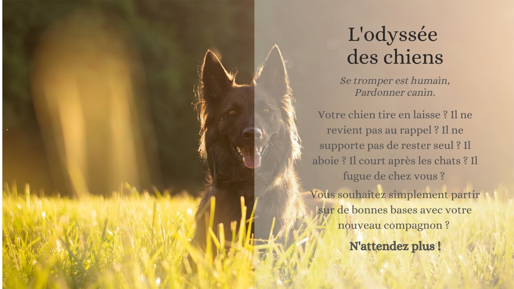 Il Vaut Mieux être Seul Que Mal Accompagné En Anglais