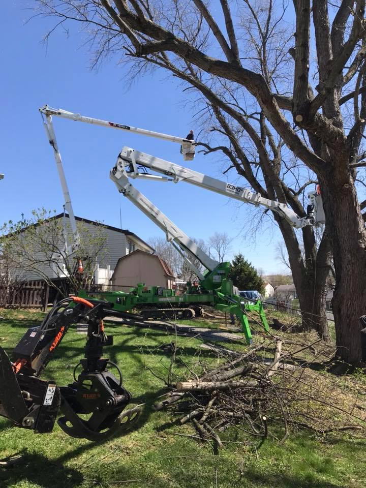 Richey Tree Service
