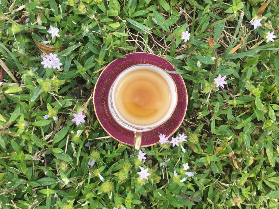 Speakeasy Tea and Coffee By Life In Tea | Delray Beach Association FL