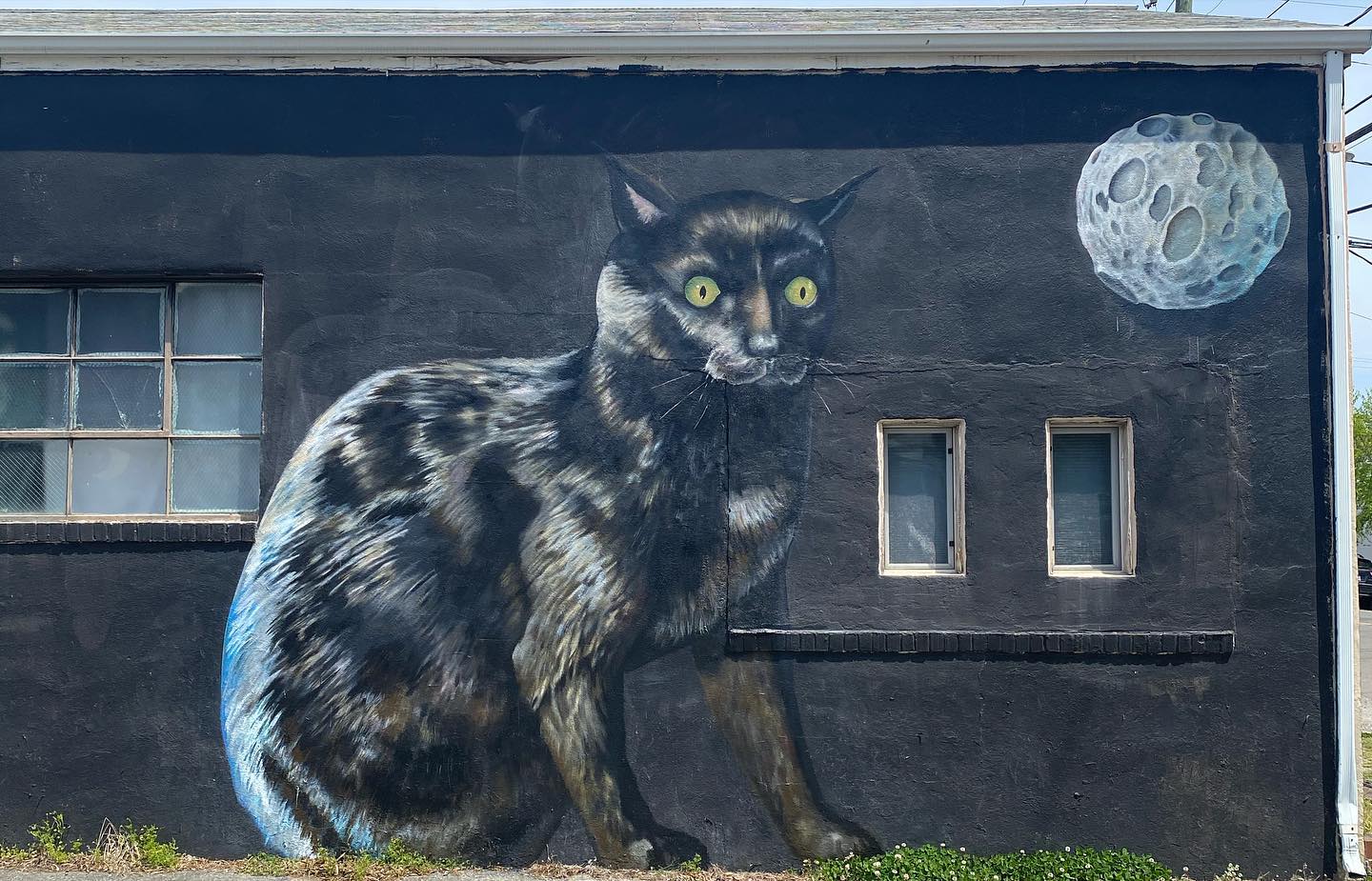 Wax Moon | Richmond VA