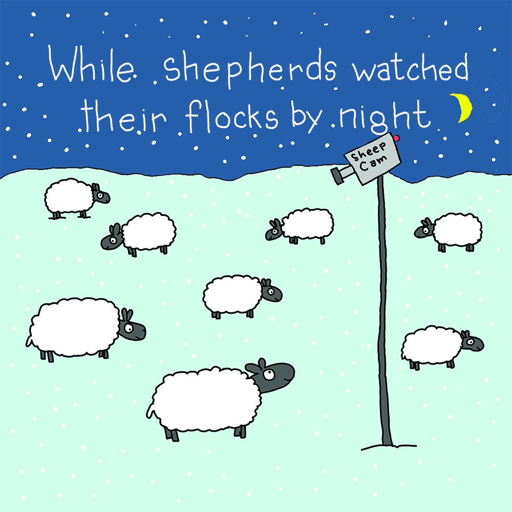 Flockin sheep