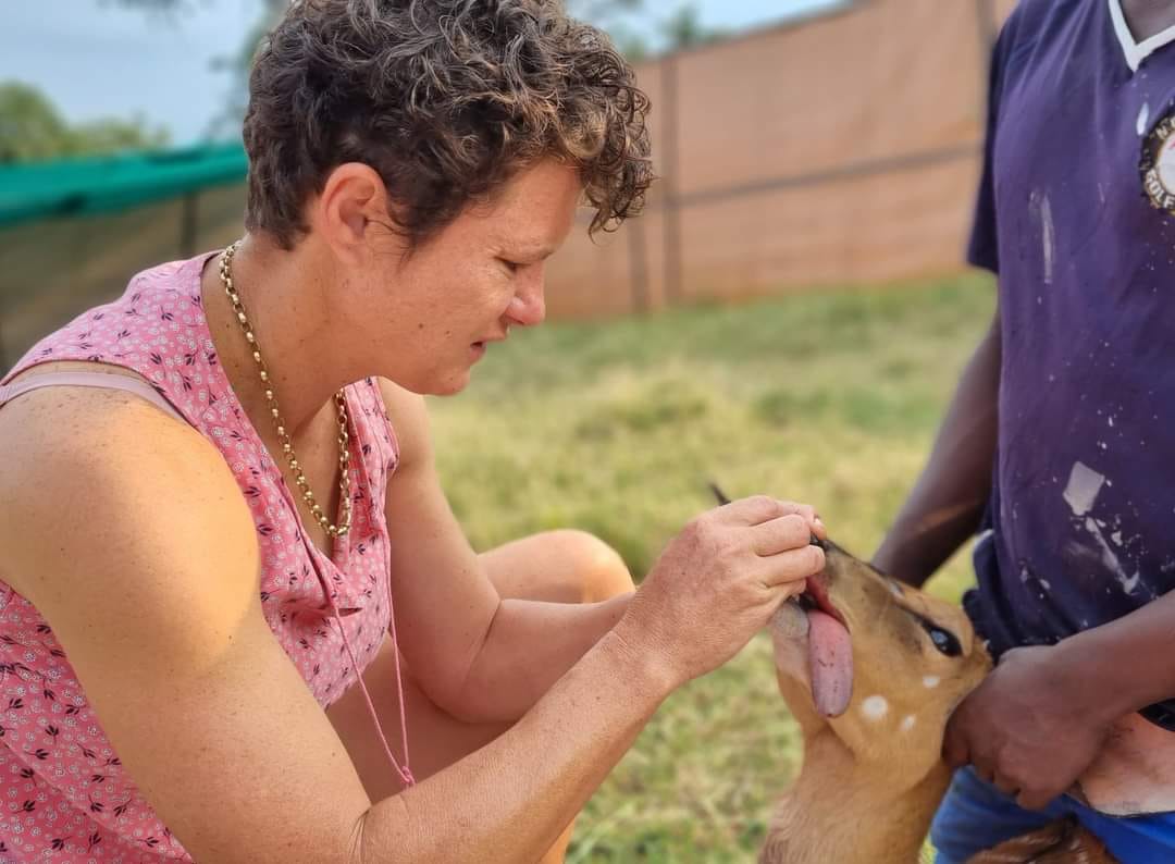 SPCA Rustenburg - Dr Fida Young, the RSPCA and all the... | Facebook