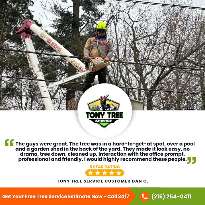 Tony Tree Service | Levittown PA
