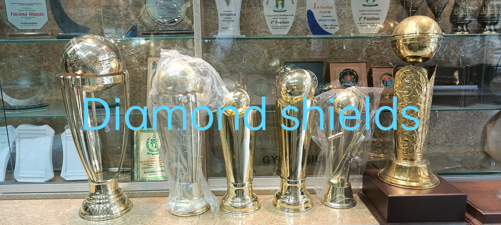 Diamond Shields Rwp