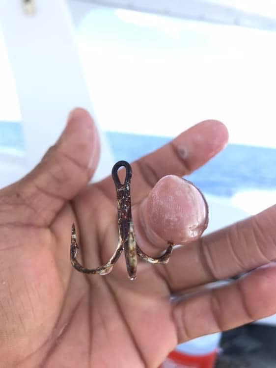 bass fishing circle hooks Lazer Sharp Striped Hi-Lo Rig The circle design sets Dobyns Sierra Micro Series Reel Seats Variant:#4