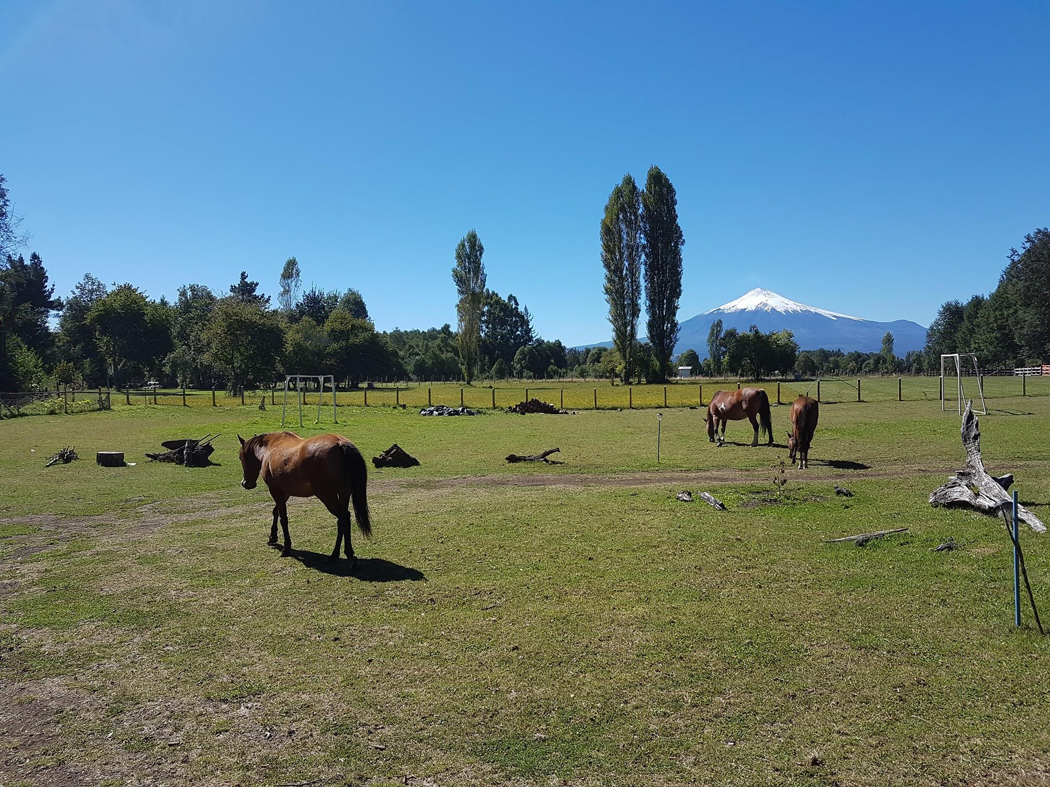 Eco Parque Entre Rios | Villarrica