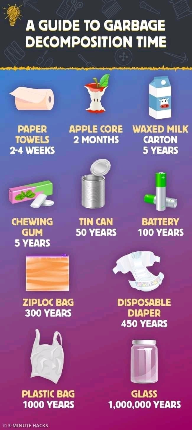 Trash Bee - Some serious facts to take notice! Let's...
