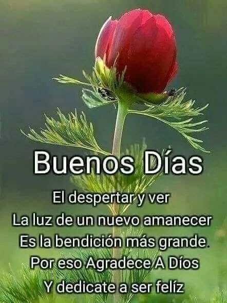 Feliz Miércoles Lindo Día para Todos 🙌 - Mundo De Postales | Facebook