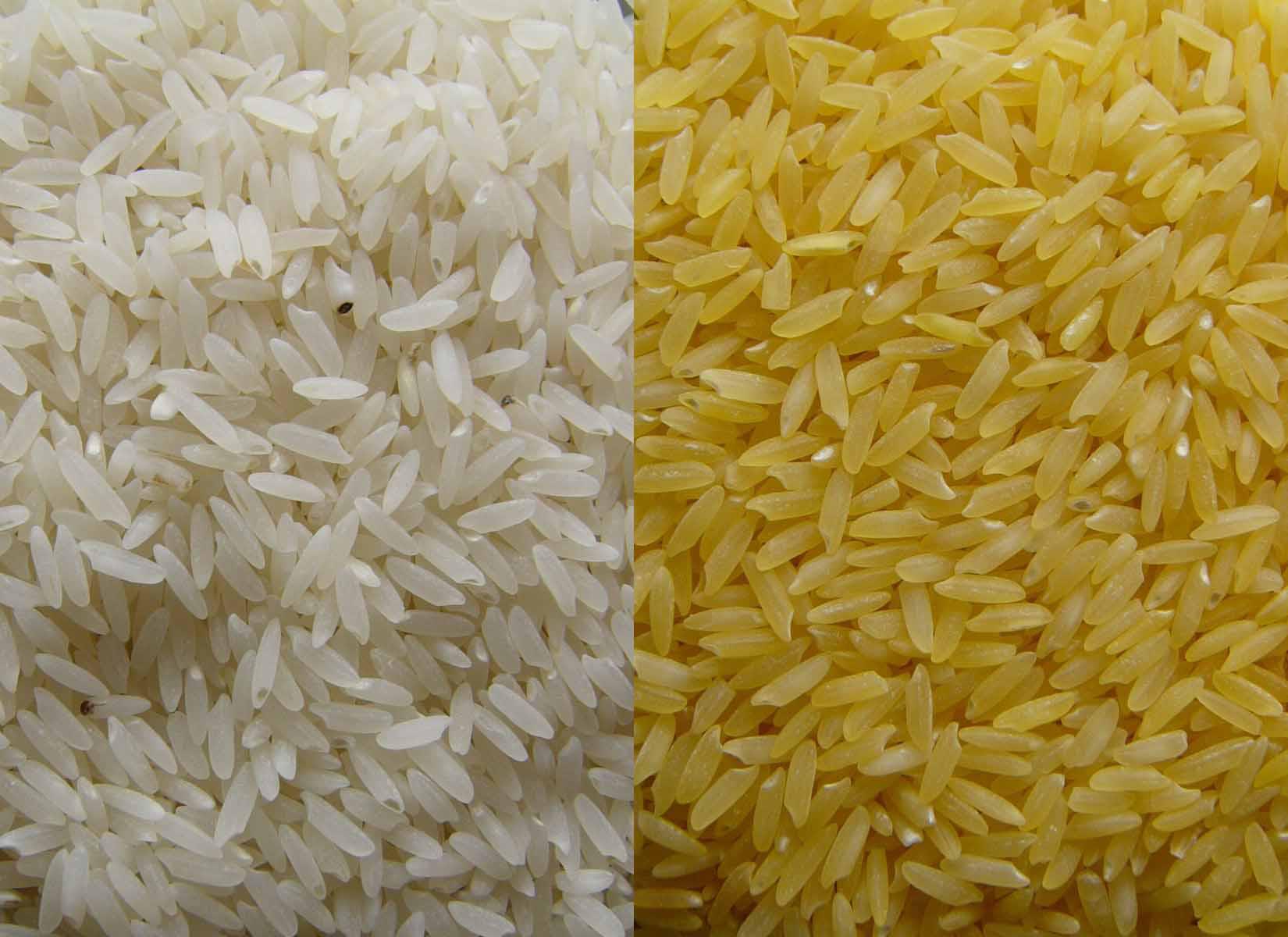 Hashmi rice mills | Lahore