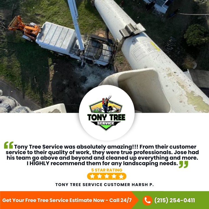 Tony Tree Service | Levittown PA