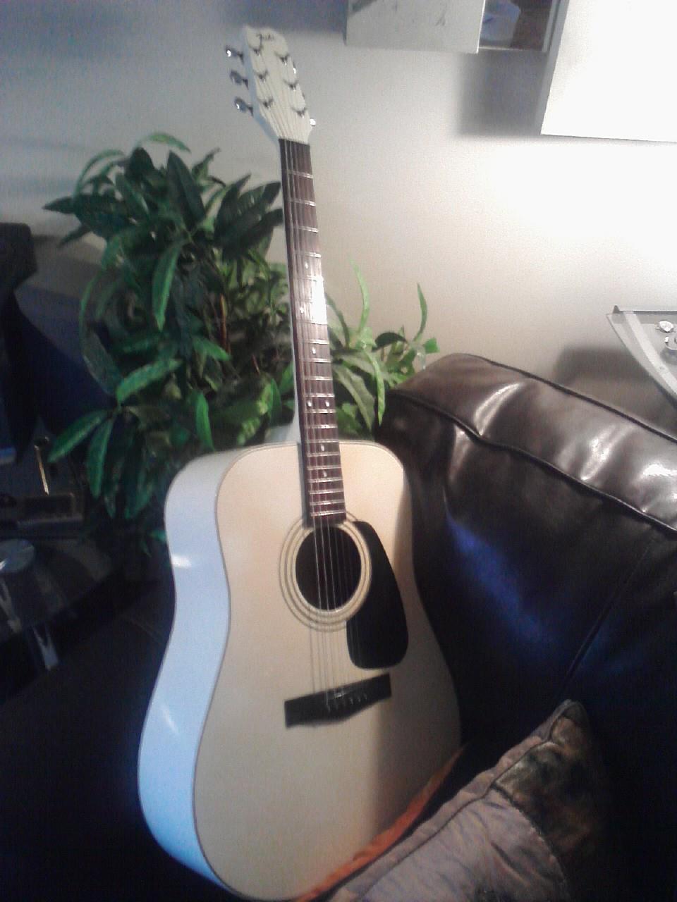 1981 Fender Gemini Aquistic Guitar Reflection