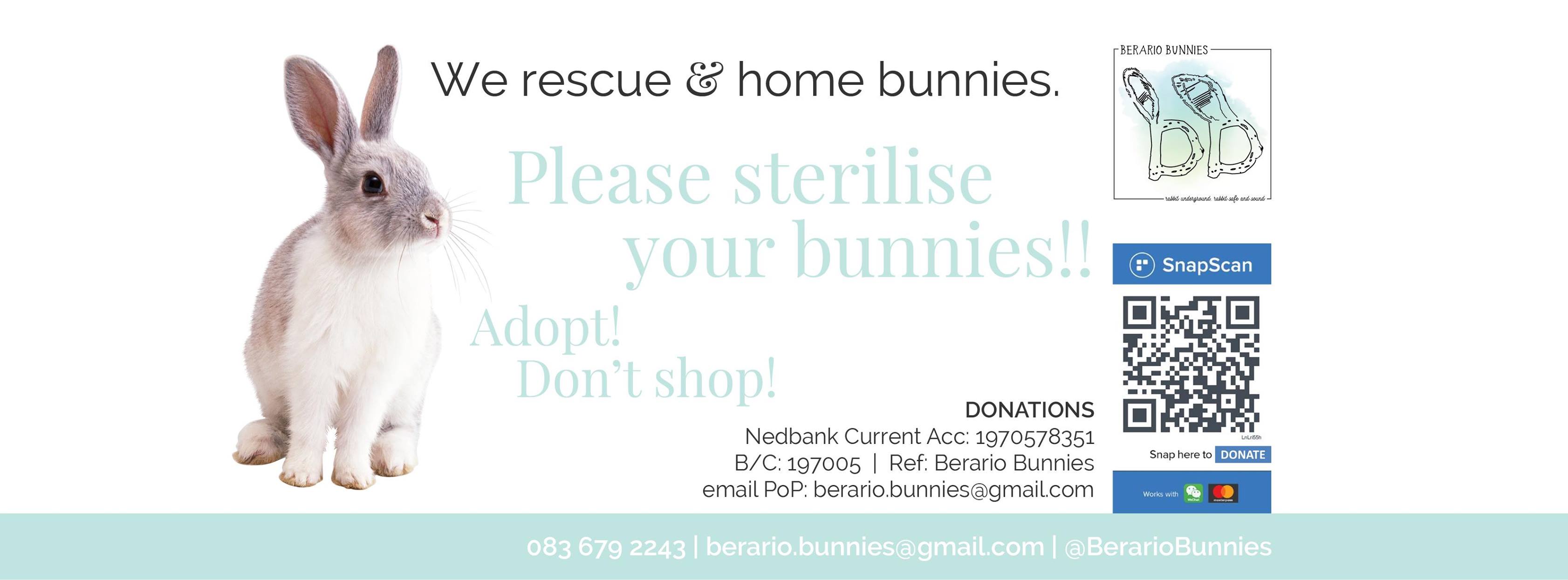 Noordhoek Bunny Rescue added a... - Noordhoek Bunny Rescue