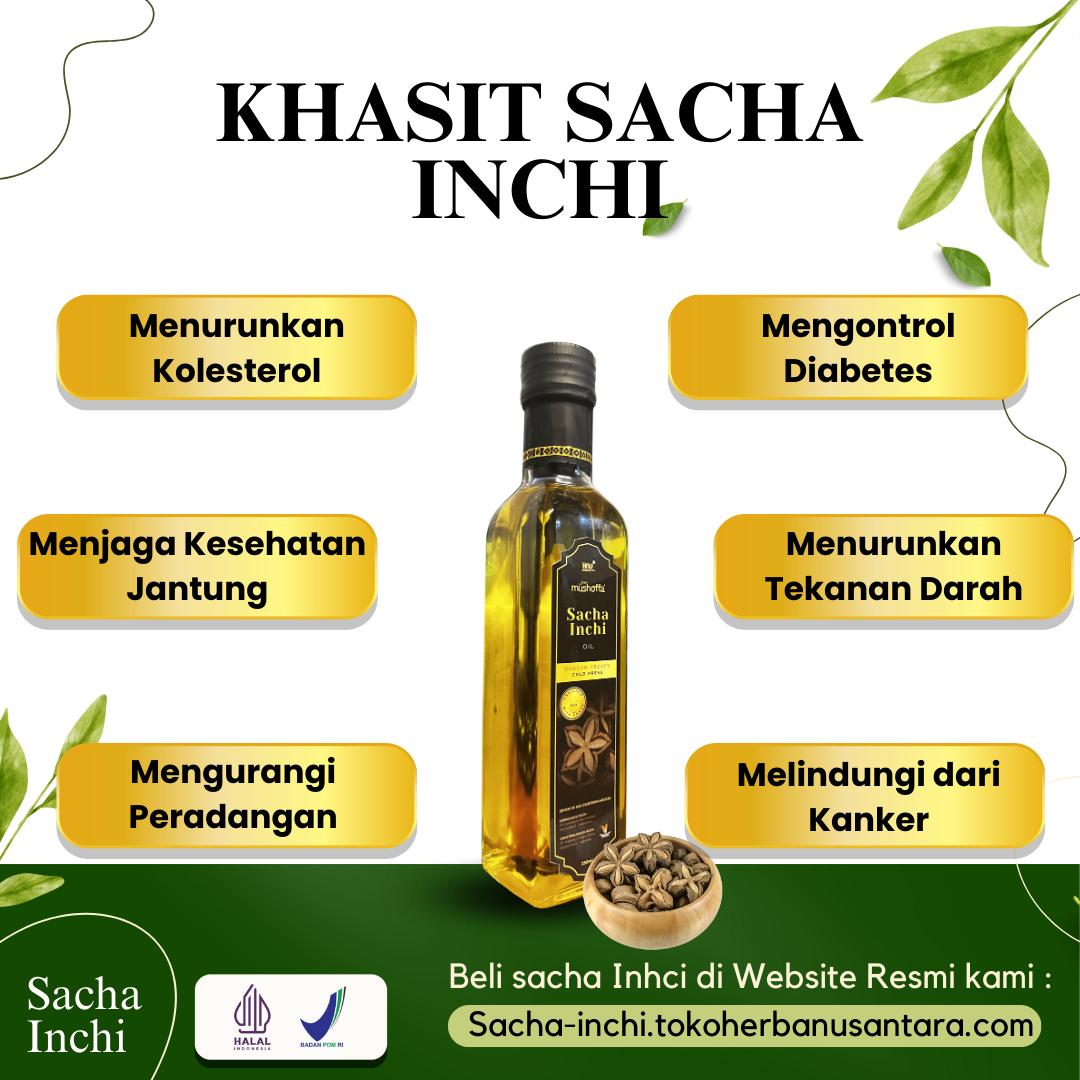 Sacha Inchi Oil | Pamulang