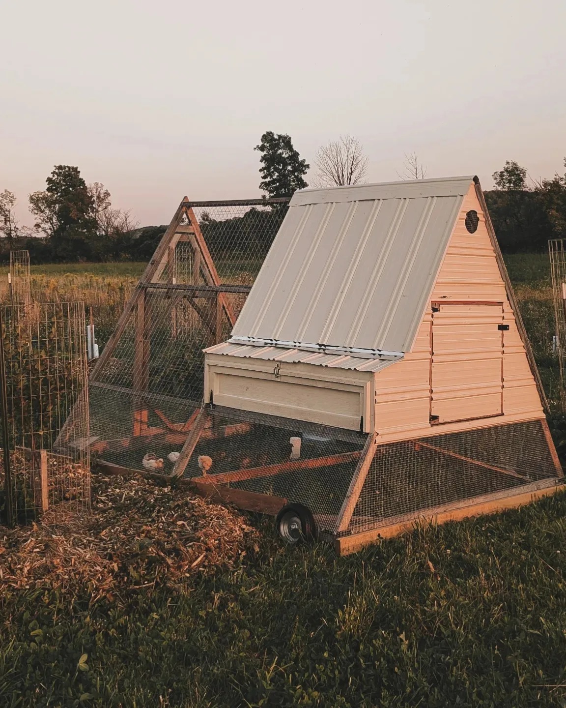 Humble Roots Tree Farm | West Bloomfield NY