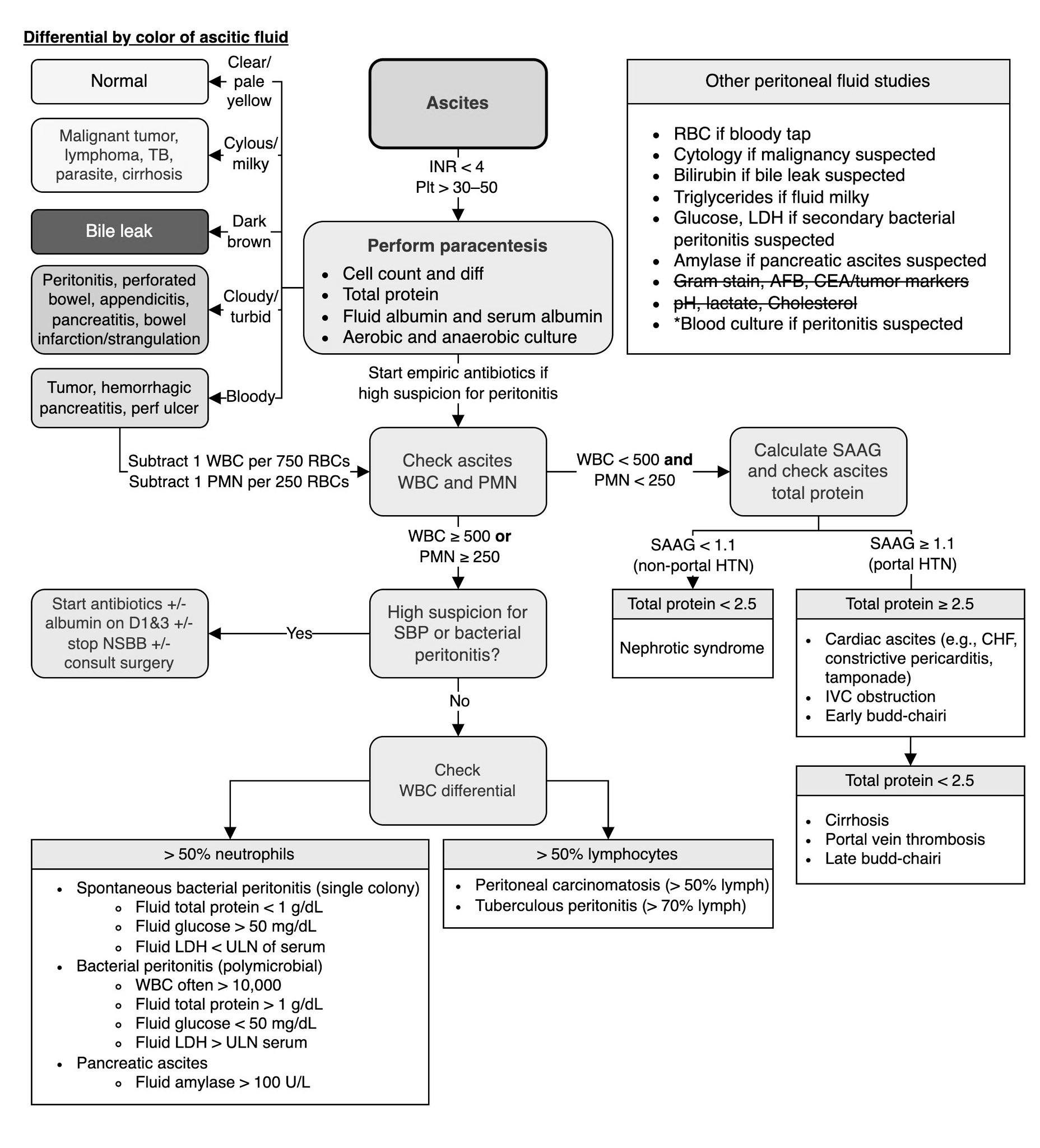 Caduceus EM & Critical Care FOAM | Approach to diagnosis of ASCITES ...