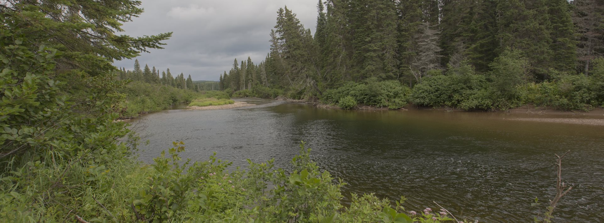 Fishing for Atlantic salmon in the fall has its ups and downs, but when ...