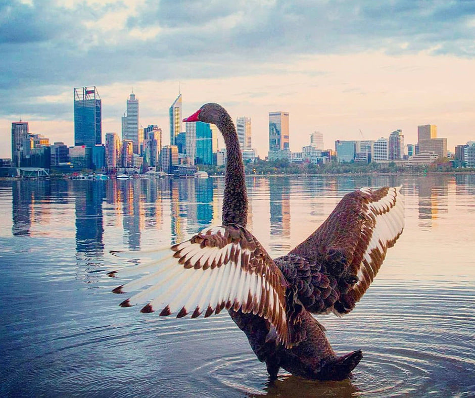 Hello Perth - The story of Australia Is the story of me... | Facebook