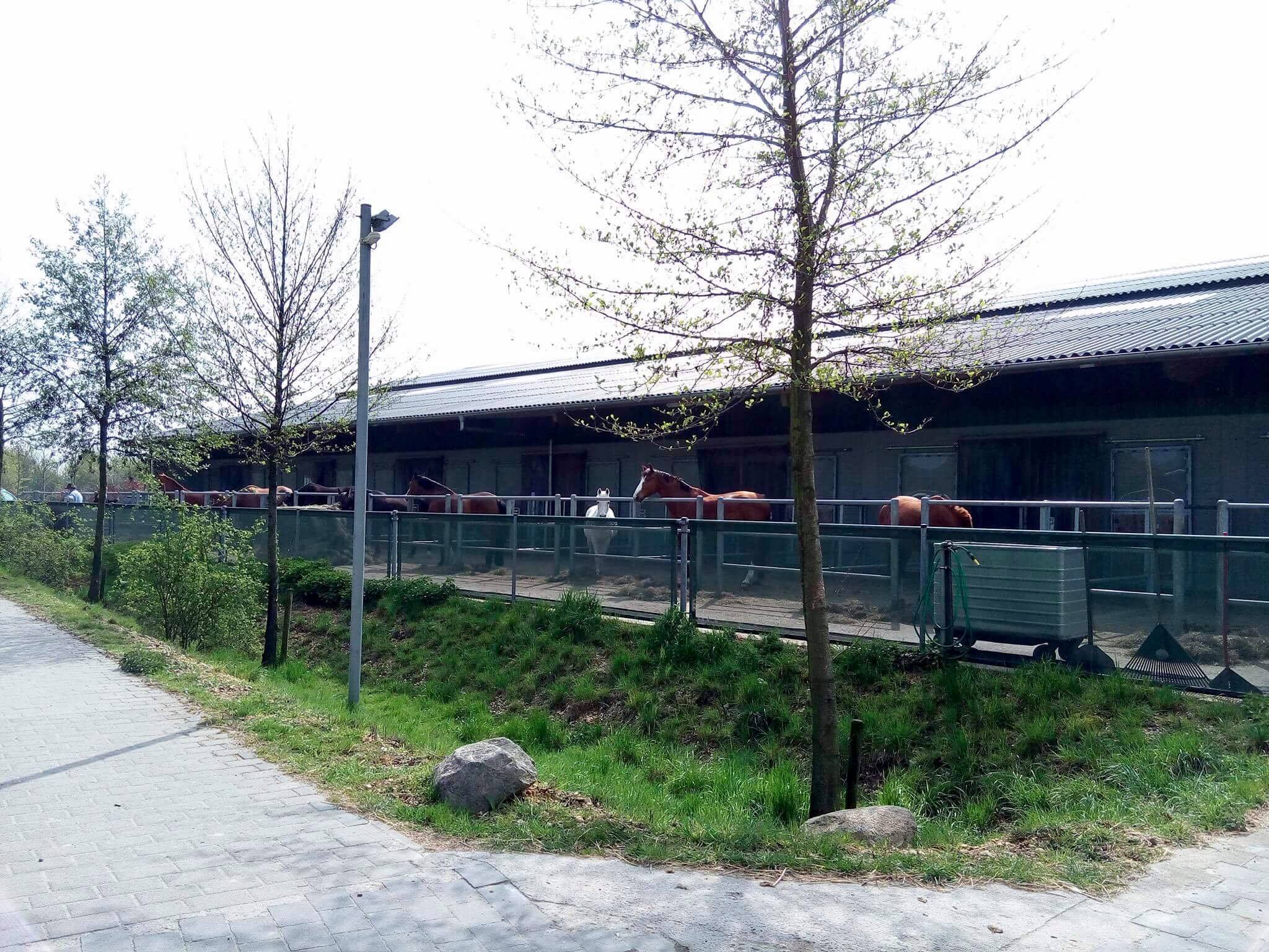Sport- & Freizeitstall... - Sport- & Freizeitstall Grefen