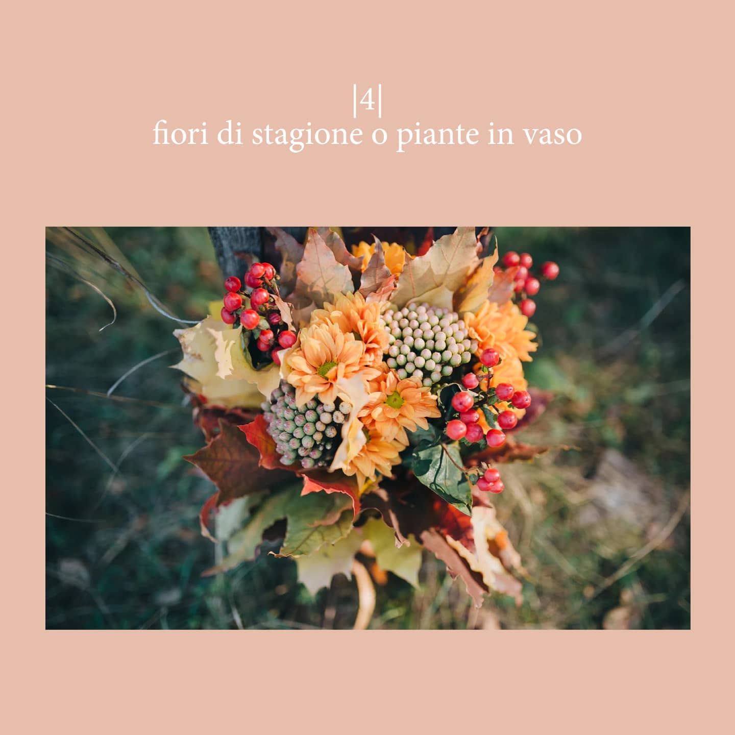 Studio Pastello | Alba
