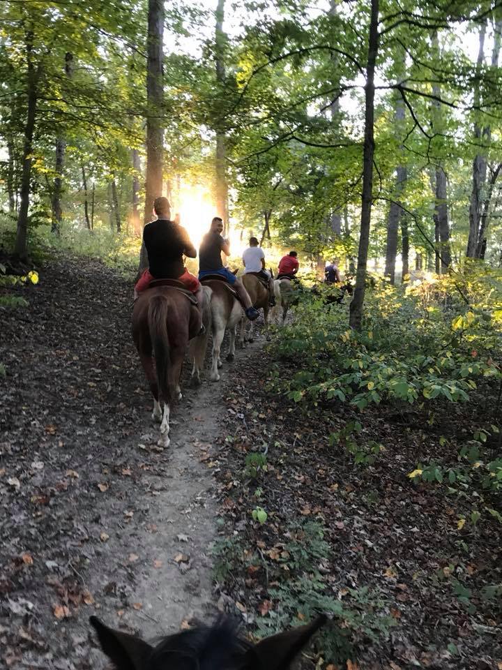 Horses of Smoke Rise Ranch and Resort | Glouster OH