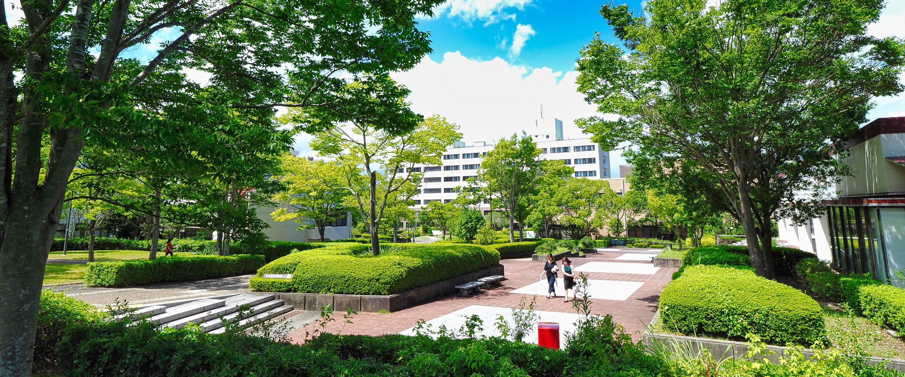 兵庫 教育 大学