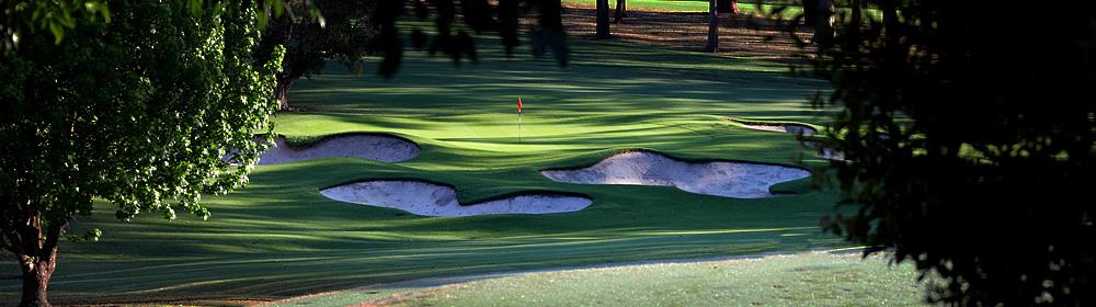 Neil Rolfe Golf