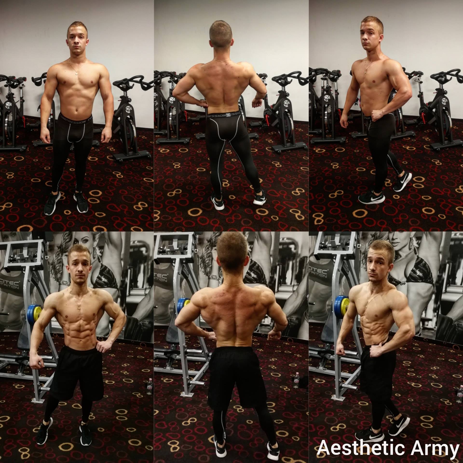 Aesthetic Army - Peter Rosta Team