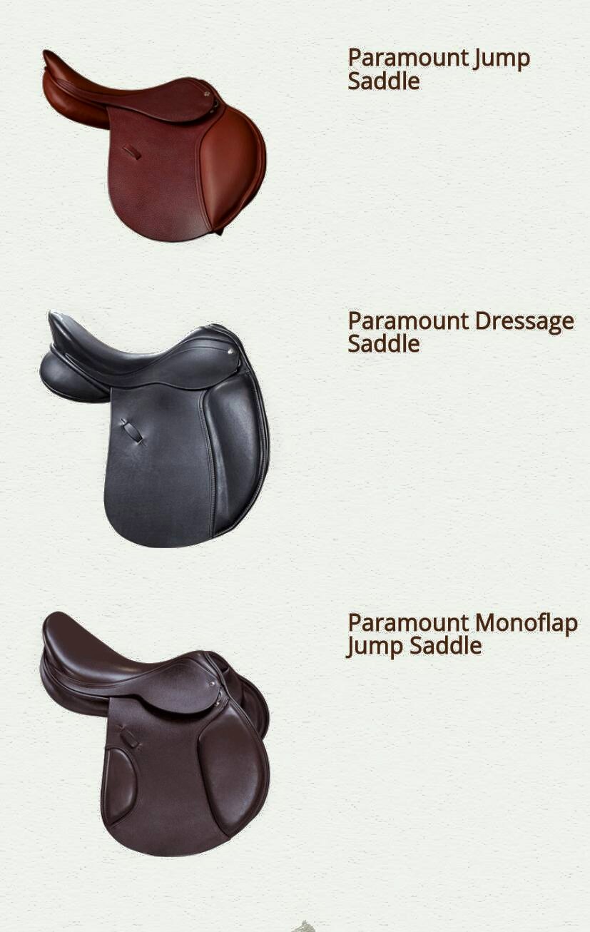 Justin Ridgewell Dressage | Collingwood ON