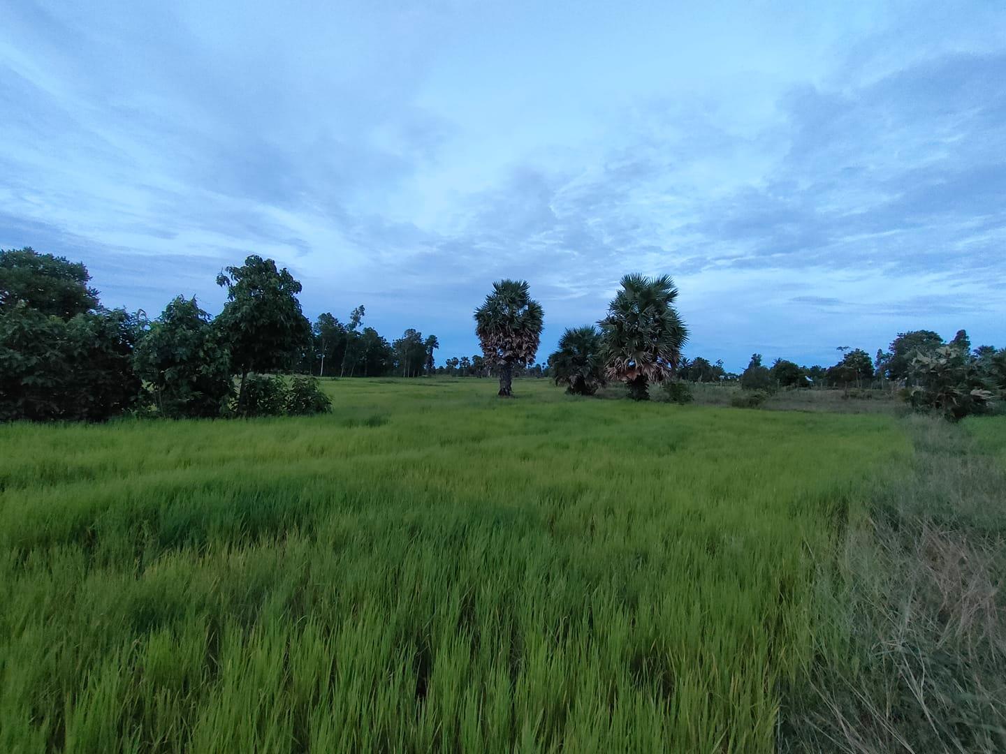 សាន្ត ឫទ្ធិស័ក្តិ San RithiSak