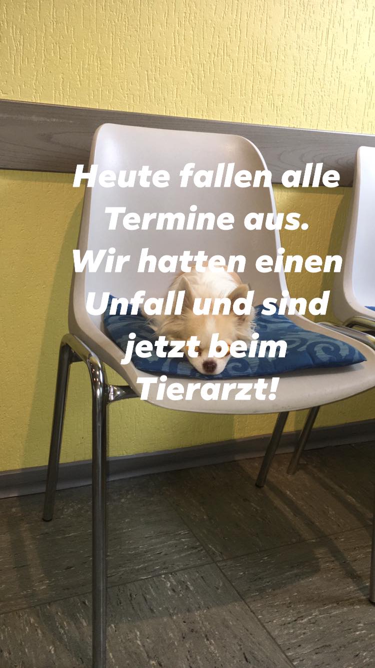 Tierarztpraxis Dr Diekhans Herne Veterinario Facebook