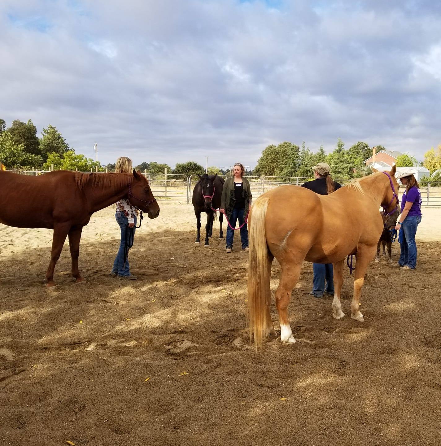Parker Sisters Ranch added a new photo. - Parker Sisters Ranch