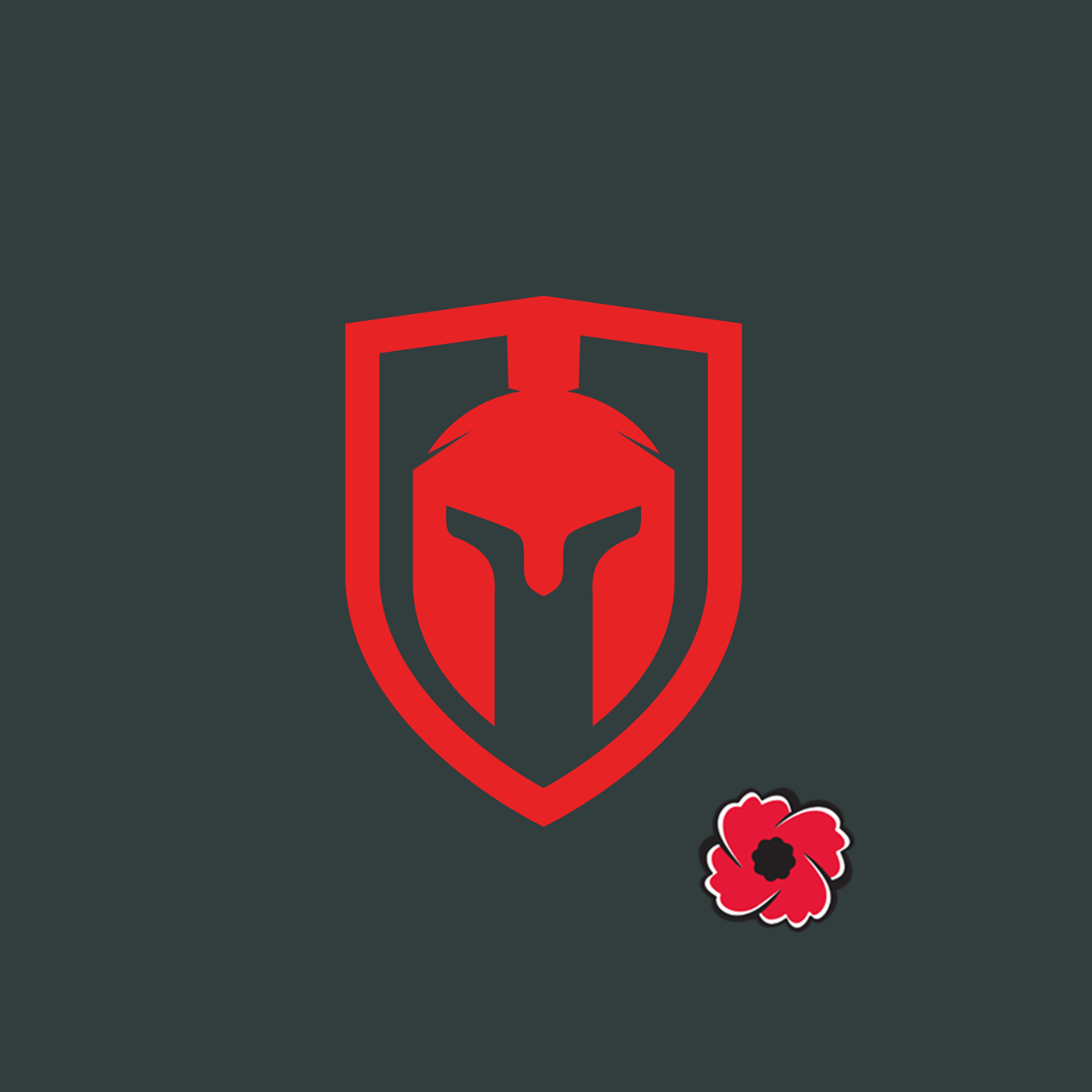 Safetek Profire | Abbotsford BC