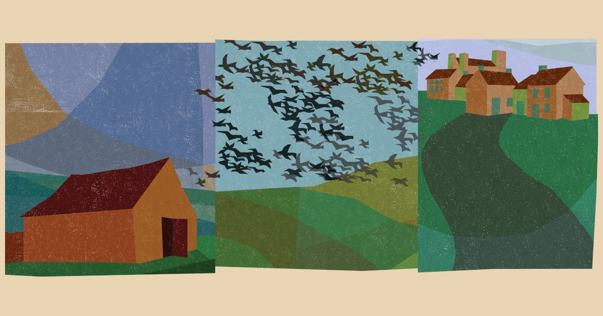 The Sociological - Our March #TSRTime issue is illustrated by artist ...