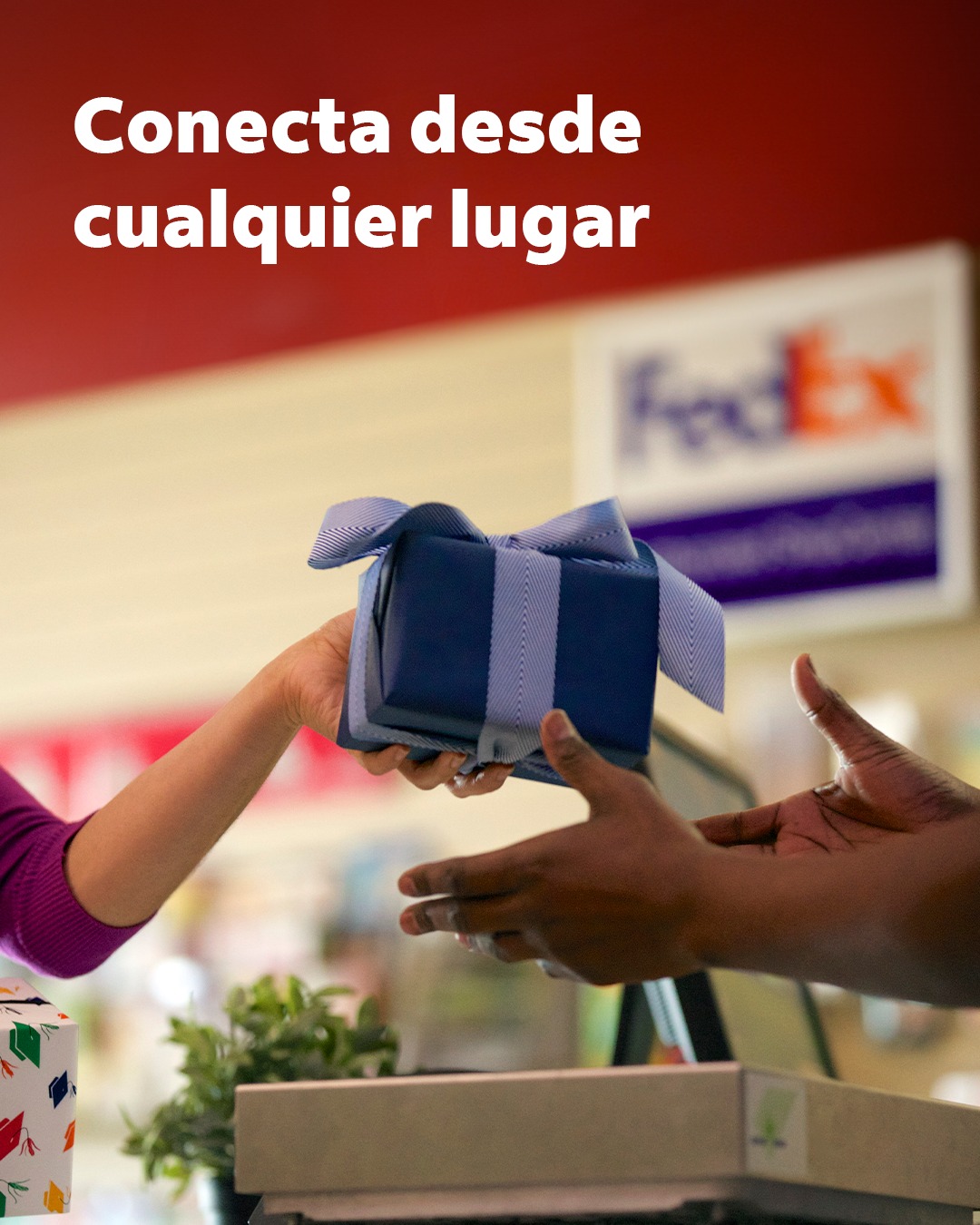FedEx Las Americas | Mérida