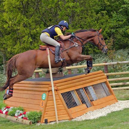 Marion Watt - I have two horses who have reacted badly to... | Facebook