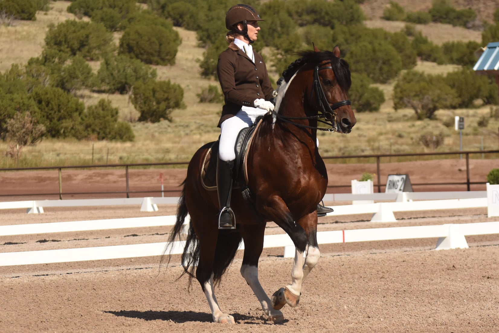Geter Ranch - The working man, Wallace G at USDF Region 5... | Facebook