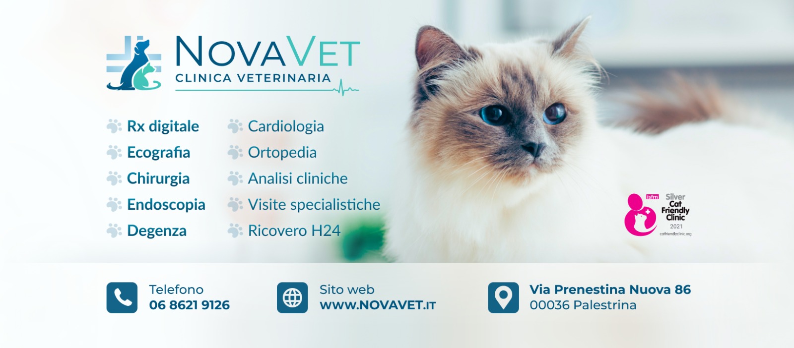 NovaVet Clinica Veterinaria | Palestrina